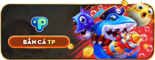 Tường lửa và hệ thống chống DDoS