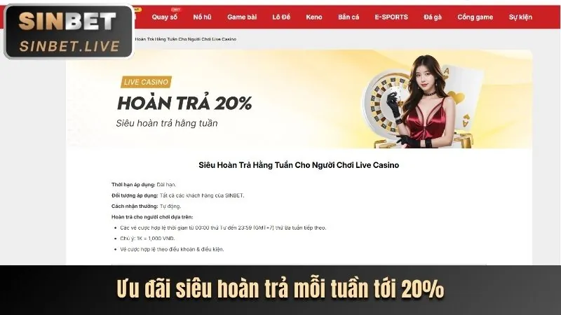 Chương trình khuyến mãi tt3979ae